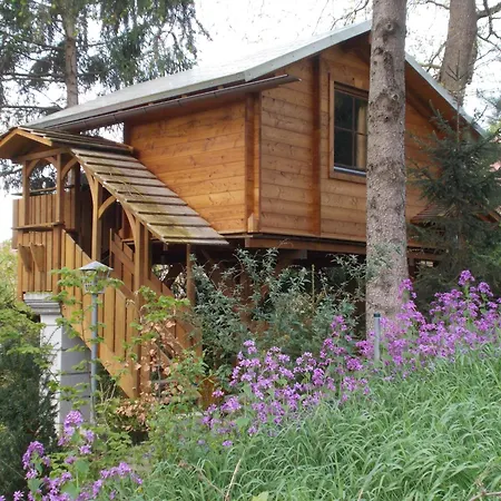 Chalet Baumhaus Wolfshoehle