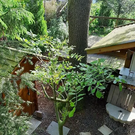 בקתה Baumhaus Wolfshoehle *