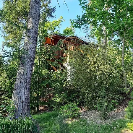Baumhaus Wolfshoehle Horská chata